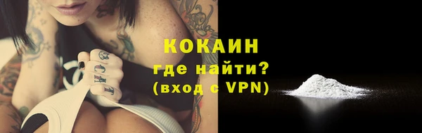 дживик Абаза