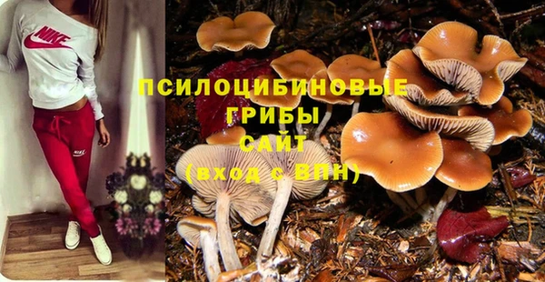 дживик Абаза