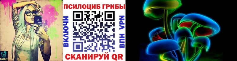 Псилоцибиновые грибы ЛСД  OMG зеркало  Павловский Посад 