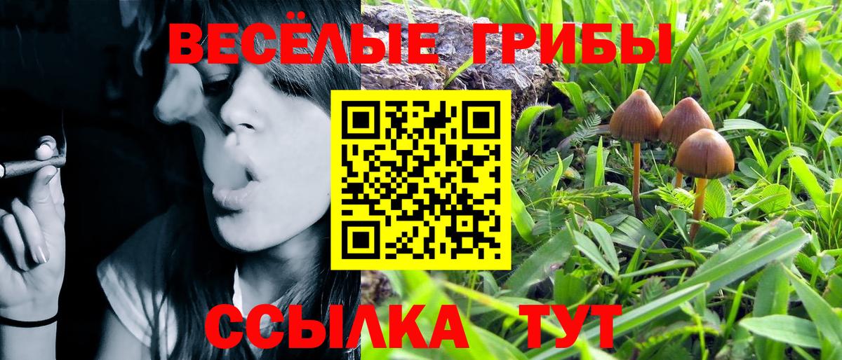 Псилоцибиновые грибы ЛСД  Вход с VPN  Павловский Посад 